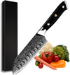 Edge VG10 Damascus Chef knife Santoku Knife with G10 Handle