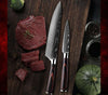 Fujin Chef's Knife Set 7 Pcs Pakkawood Handle