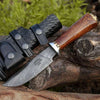 Holy Defender Damascus Hunting Knife with Exotic Rose Wood Handle
