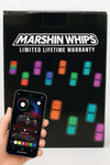 Marshin Whips Rosewell X-2 Billet RV Rocklights x16