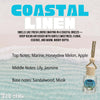 Coastal Linen Car Freshener