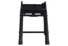 Evolution / Odyssey / Aspen V2 / Adventure Series - Telescoping Ladder