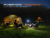 CL20R Pro Smart Multicolor Camping Lantern