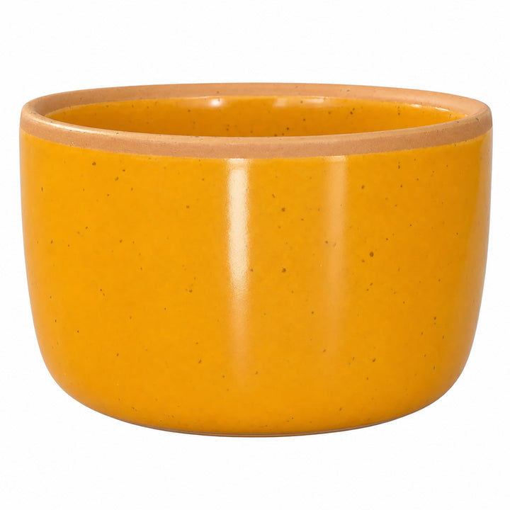 Solid Dish Soap Jar &amp; Brush