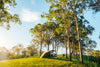 Oztent RV-3 tent beneath trees at camp