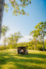 Oztent RV-3 tent and campers in an open woodland setting