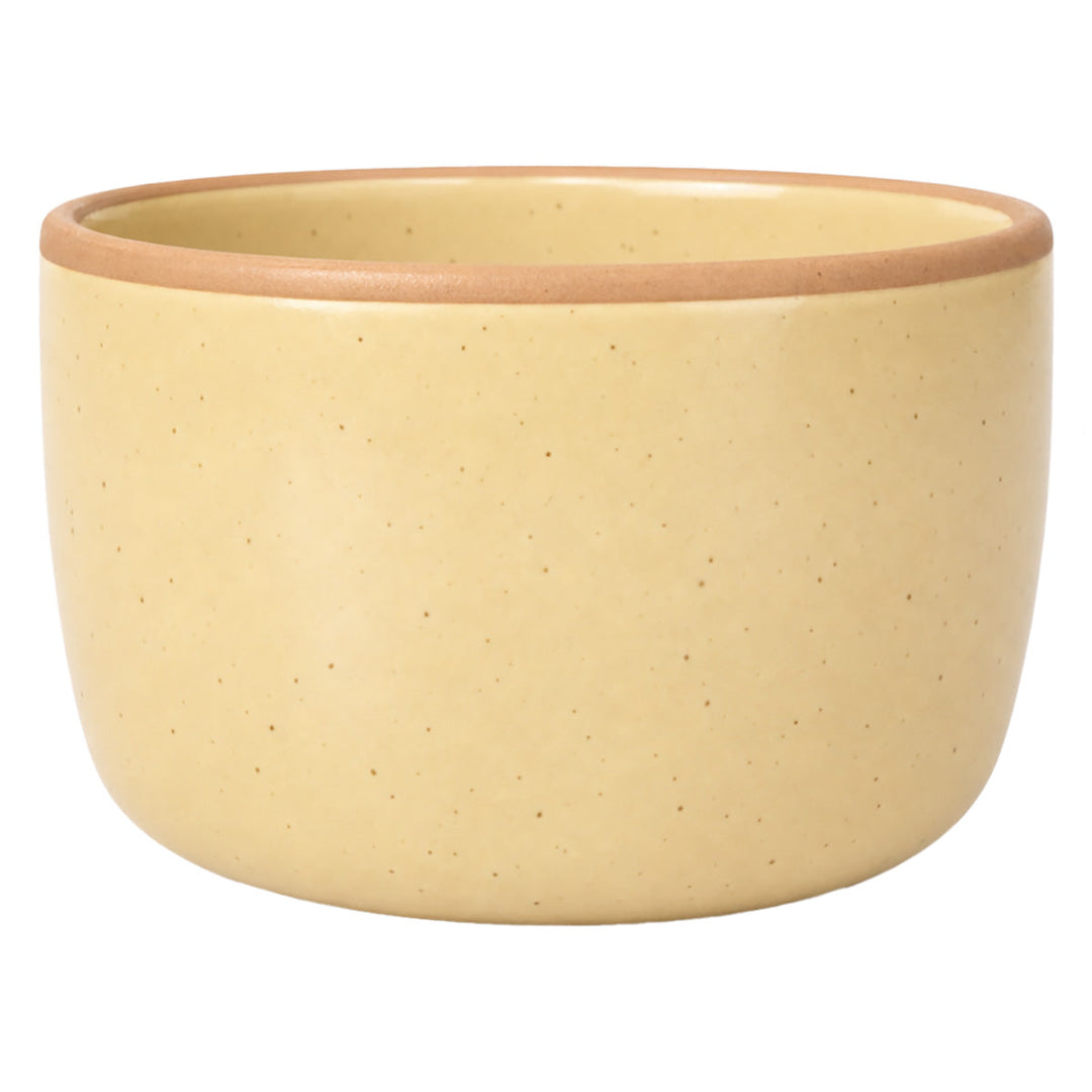 Solid Dish Soap Jar &amp; Brush