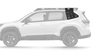 Forester Window Panel