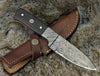 Karma Damascus Skinning Knife with Exotic Wenge Wood Handle