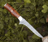 Concord Damascus Fillet Knife with Exotic Olive wood Handle