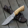 Avatar Damascus Hunting Knife with Exotic Olive Wood Handle