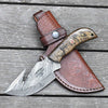 Cyclone Damascus Gut Hook Knife with Ram Horn handle