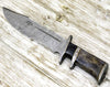 Enigma Survival Bowie Knife with Bone Handle