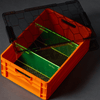 Premium Orange Half